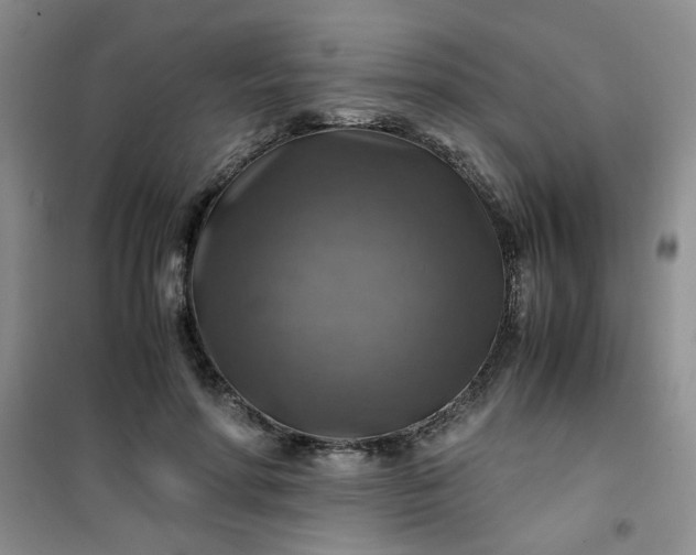 X0000100950598200807081220