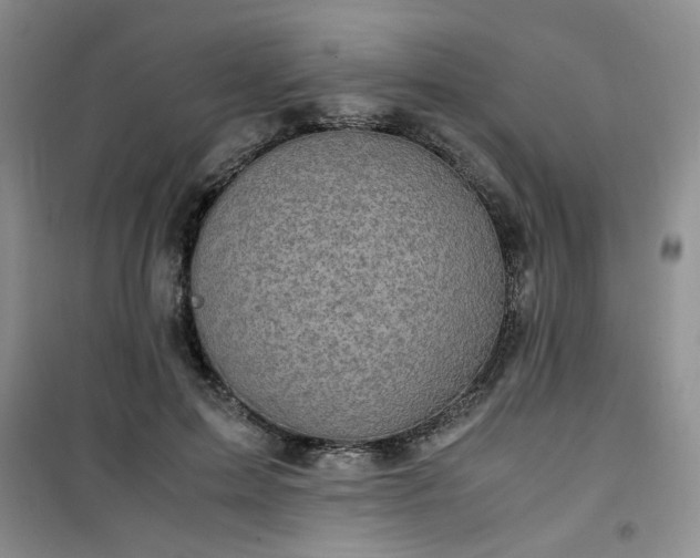 X0000100950599200807081220