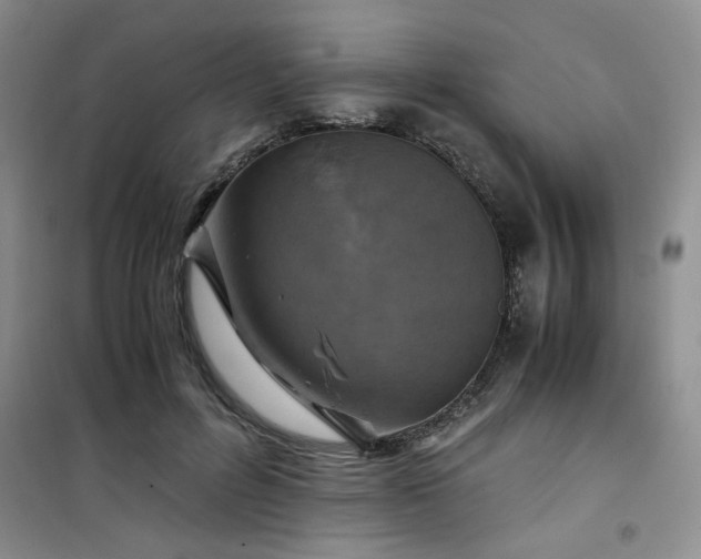 X0000100950600200807081220