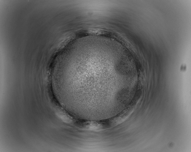 X0000100950601200807081220