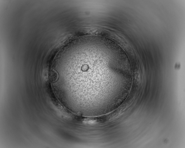 X0000100950602200807081220