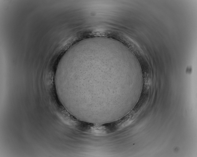 X0000100950603200807081220