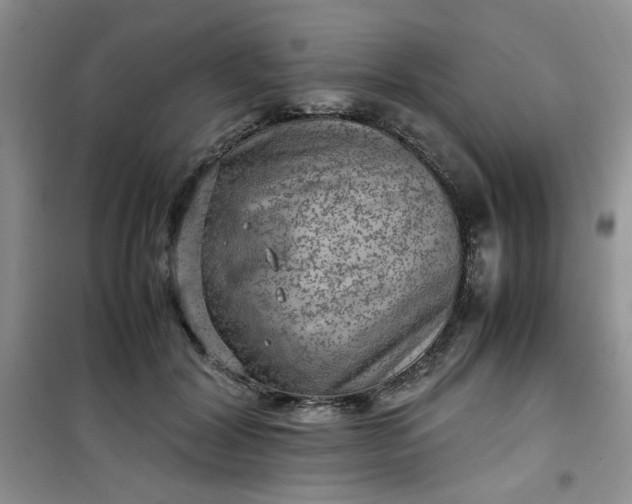 X0000100950604200807081220