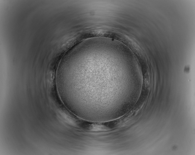 X0000100950605200807081220