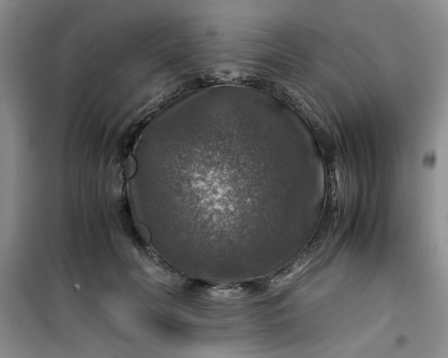 X0000100950606200807081220