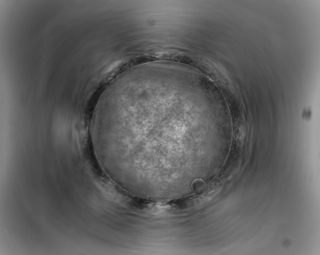 X0000100950607200807081220