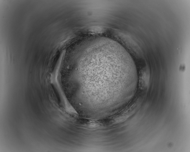 X0000100950608200807081220