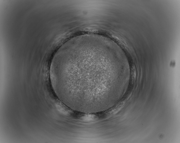 X0000100950609200807081220