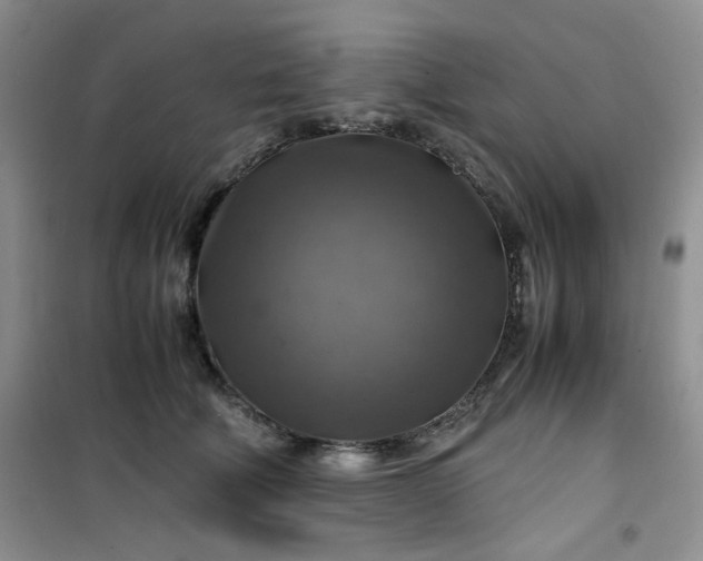 X0000100950610200807081220