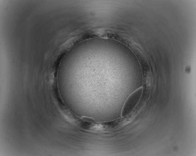 X0000100950611200807081220