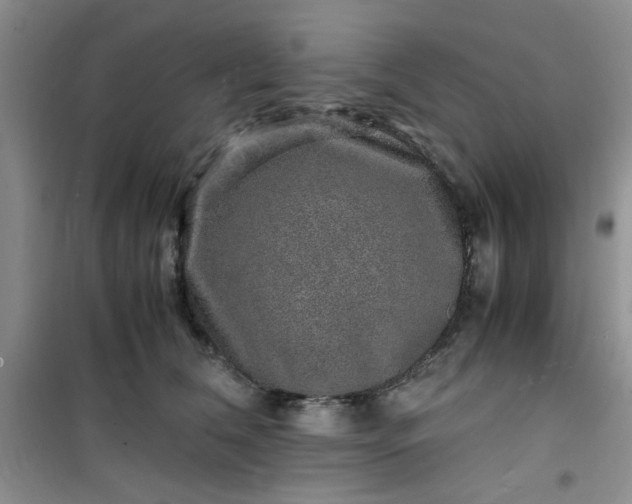 X0000100950612200807081220