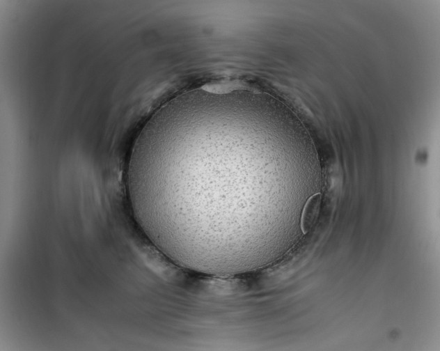 X0000100950615200807081220