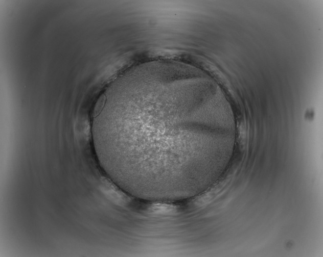 X0000100950617200807081220