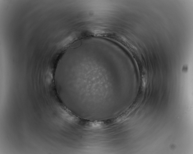 X0000100950618200807081220