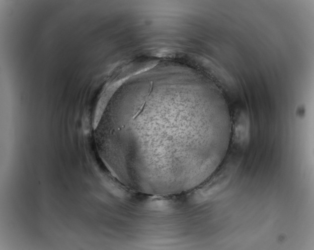 X0000100950620200807081220