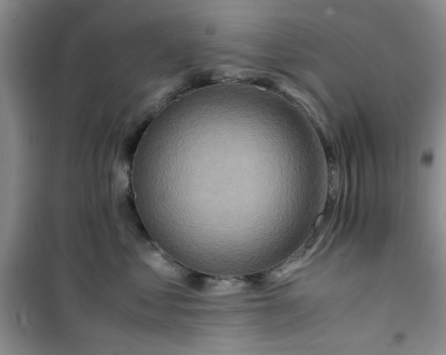 X0000100950621200807081220