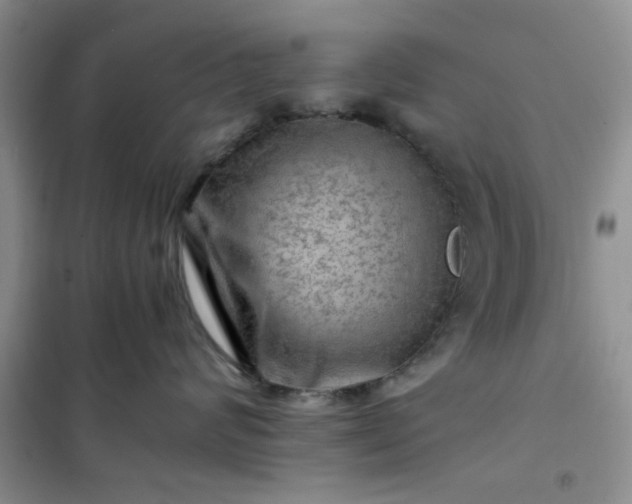 X0000100950624200807081220