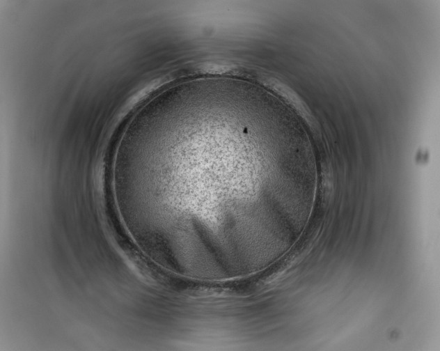 X0000100950626200807081219