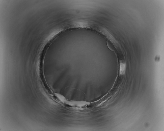 X0000100950627200807081219