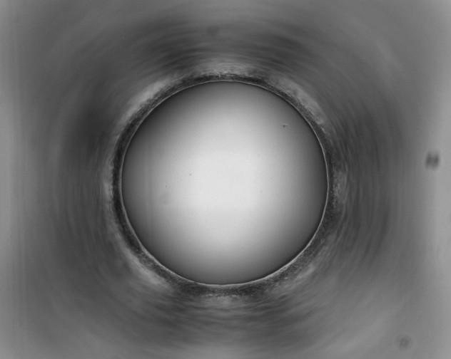 X0000100950629200807081219