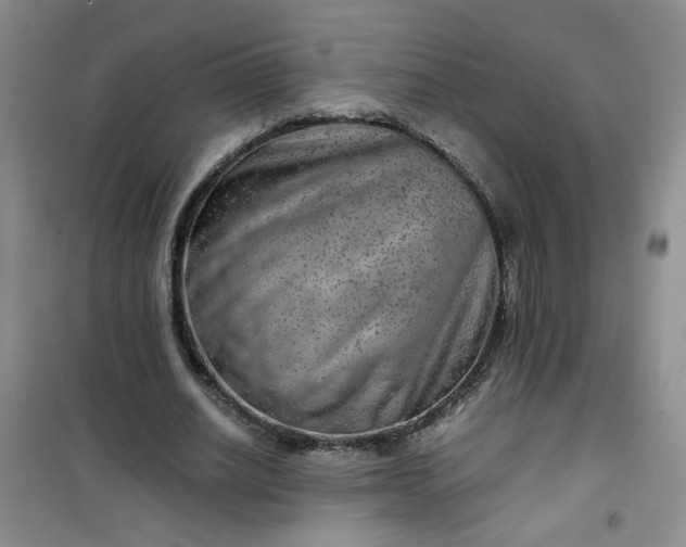 X0000100950630200807081219