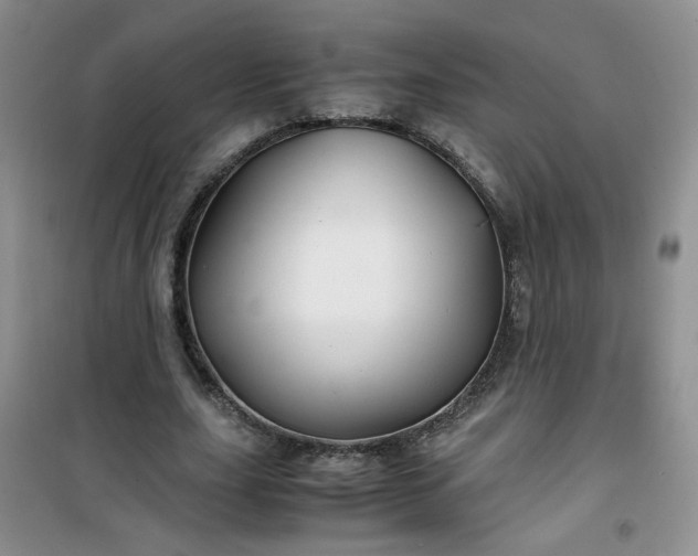 X0000100950631200807081219