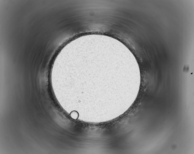 X0000100950632200807081219