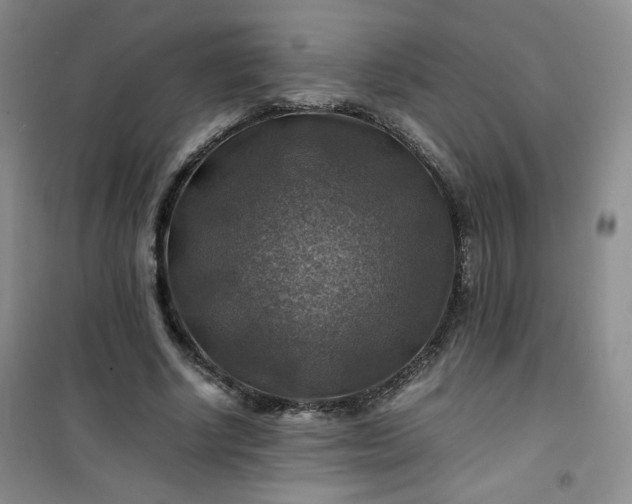 X0000100950634200807081219