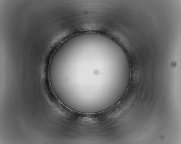 X0000100950635200807081219