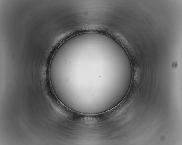 X0000100950636200807081219