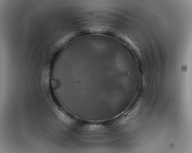 X0000100950637200807081219