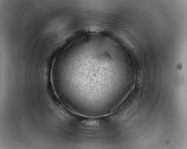 X0000100950639200807081219