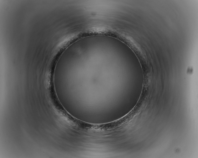 X0000100950640200807081219