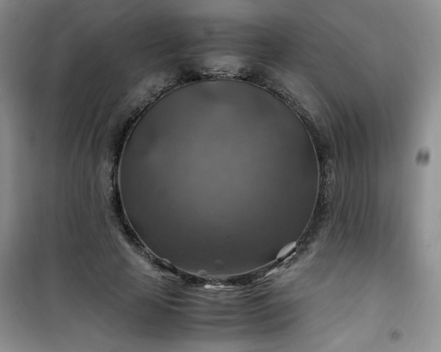 X0000100950641200807081219