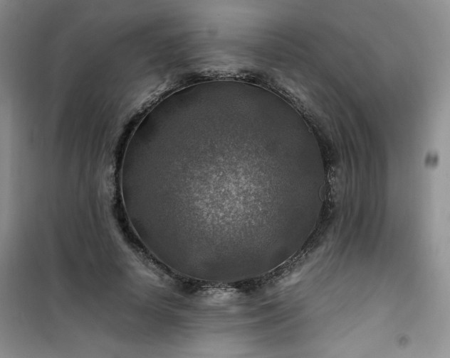 X0000100950642200807081219