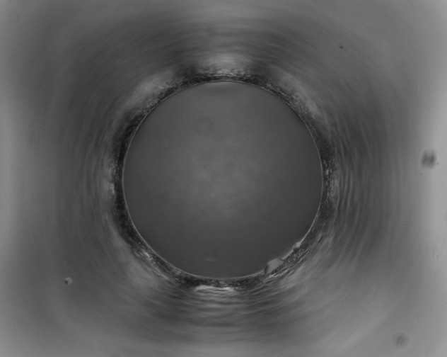 X0000100950643200807081219