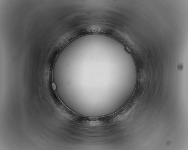 X0000100950645200807081219