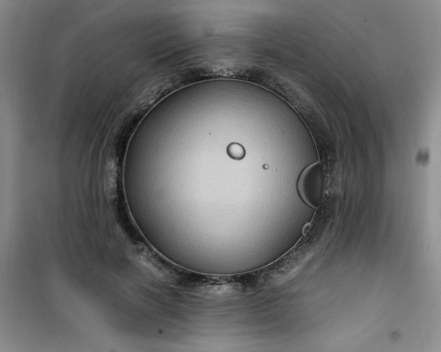 X0000100950646200807081219