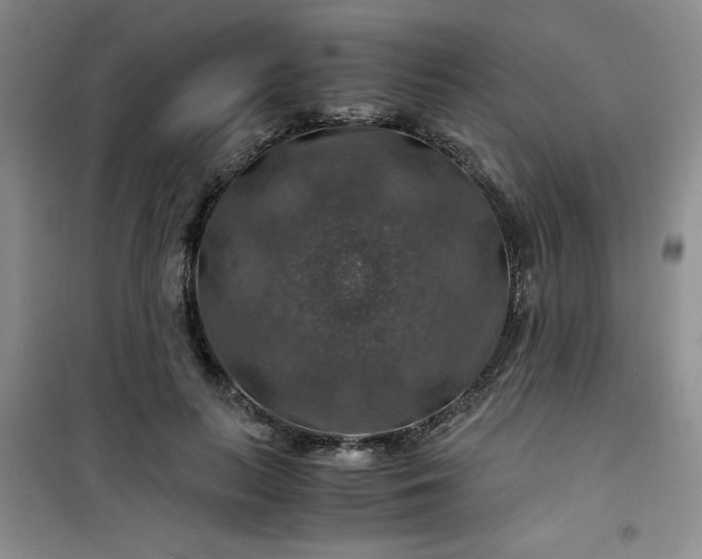 X0000100950647200807081219