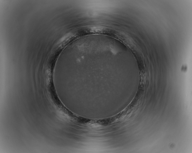 X0000100950648200807081219