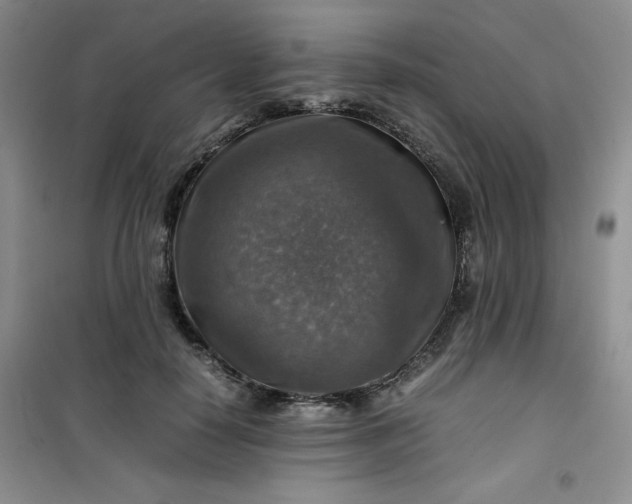 X0000100950650200807081219