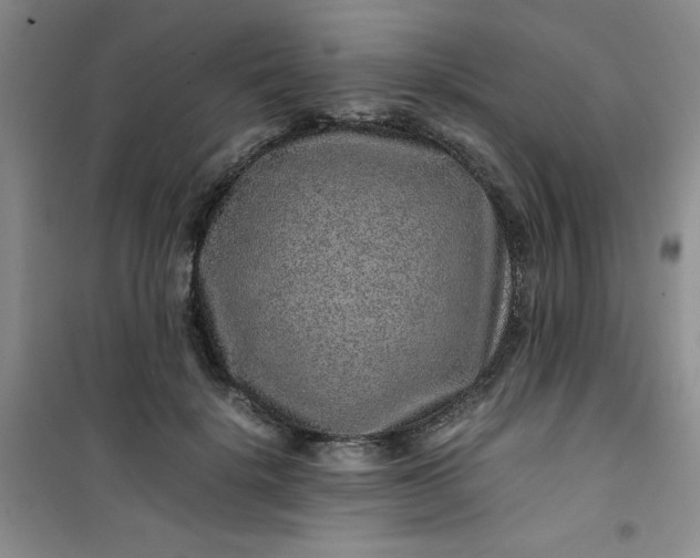 X0000100950652200807081219