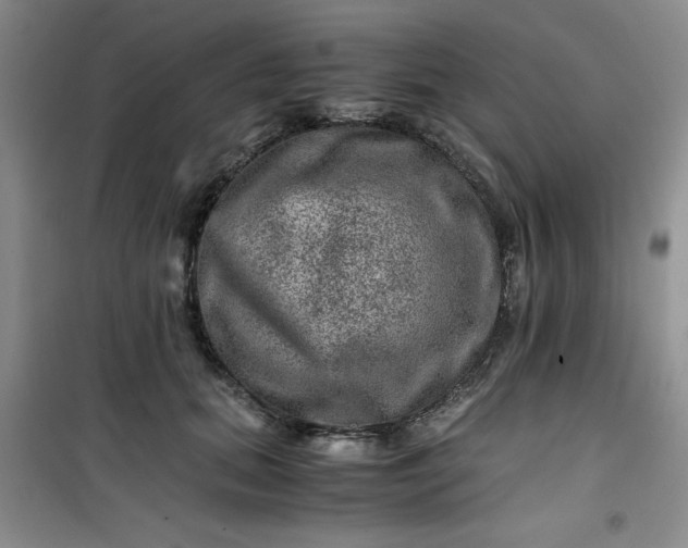 X0000100950655200807081219