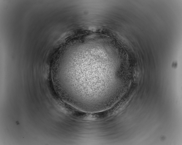 X0000100950656200807081219