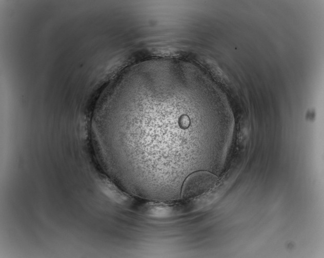 X0000100950658200807081219