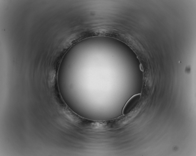 X0000100950660200807081219