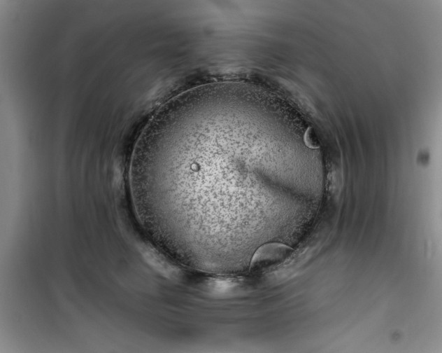 X0000100950662200807081219