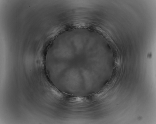 X0000100950663200807081219