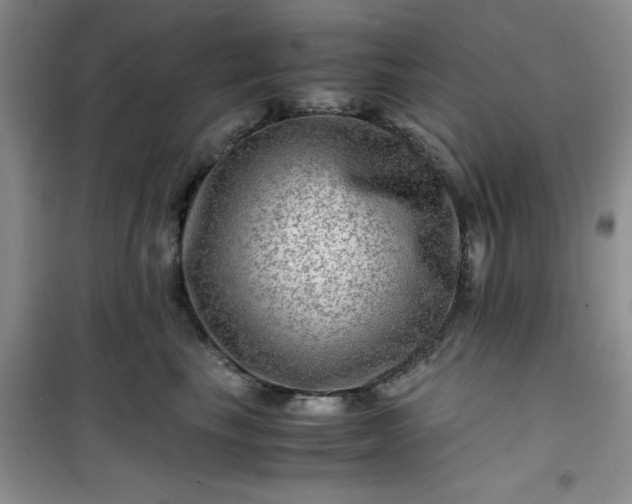 X0000100950665200807081219