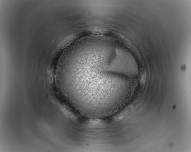 X0000100950666200807081219